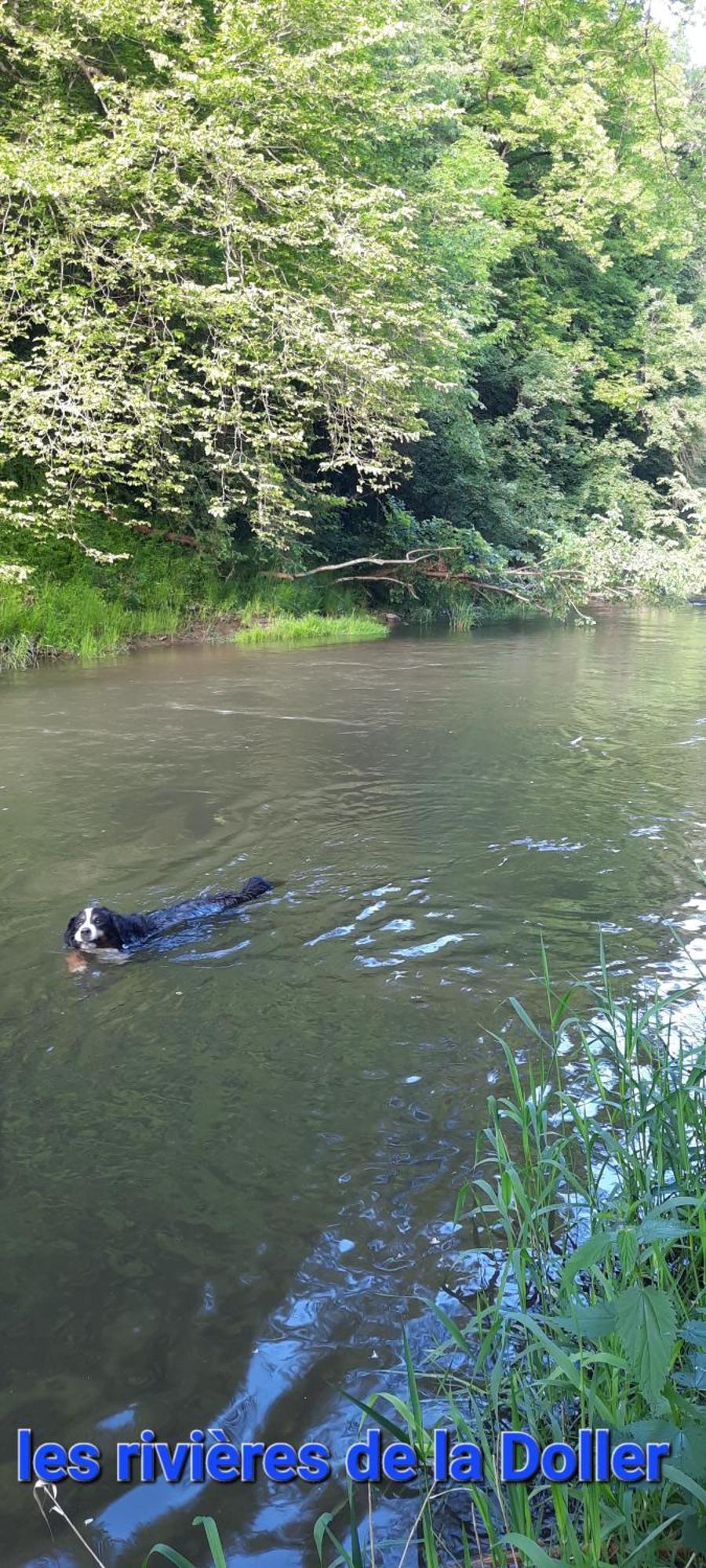 Gite Au Petit Verger Masevaux-Niederbruck Exteriér fotografie