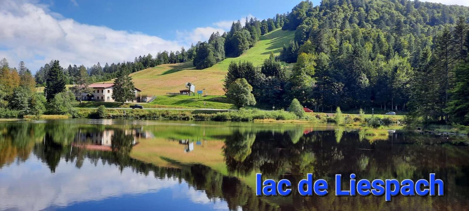 Gite Au Petit Verger Masevaux-Niederbruck Exteriér fotografie